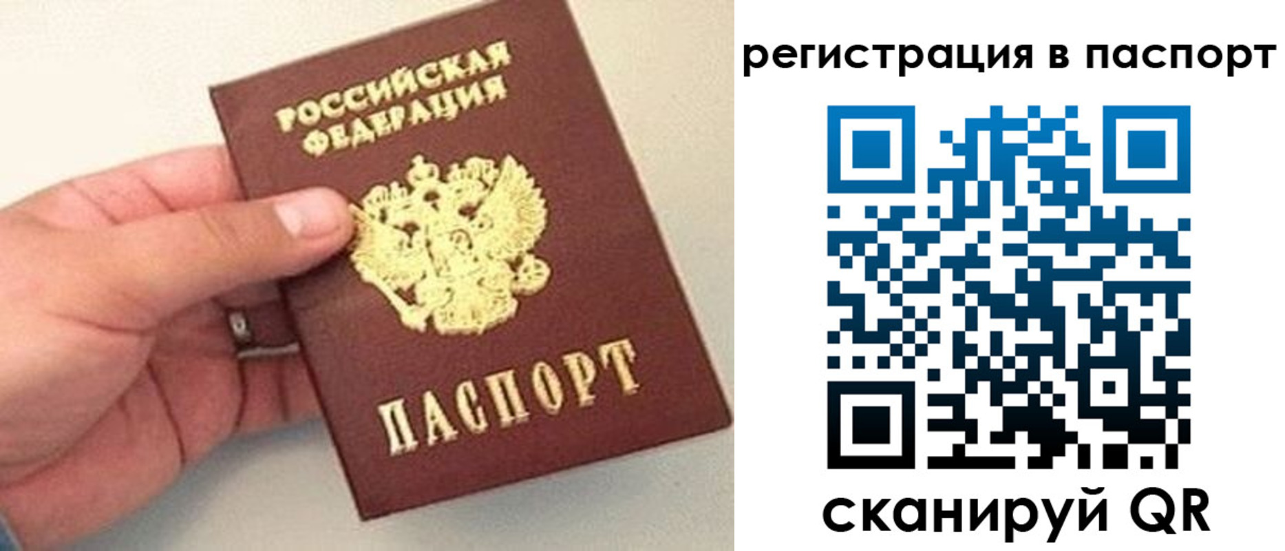прописка законно в Армавире